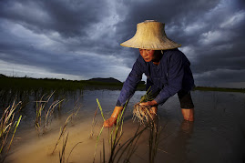 Agricultura