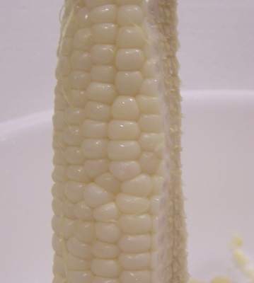 [corn,%20kernels%20cut%20on%20the%20cob.jpg]