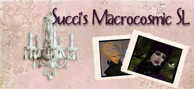 Succi's Macrocosmic SL