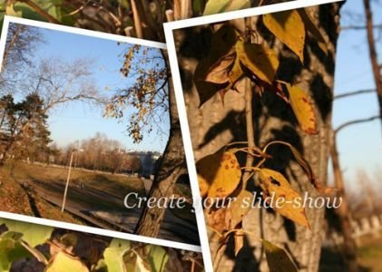 [000b6332_medium.jpeg]