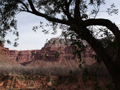 Havasu Canyon Trail