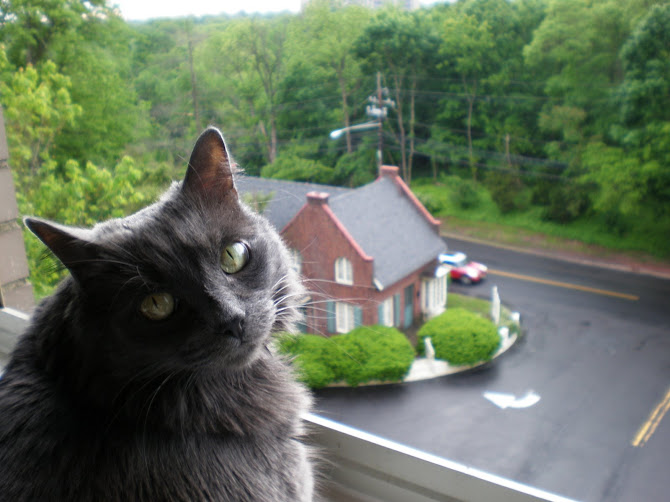 Abi enjoying the view from our apartment