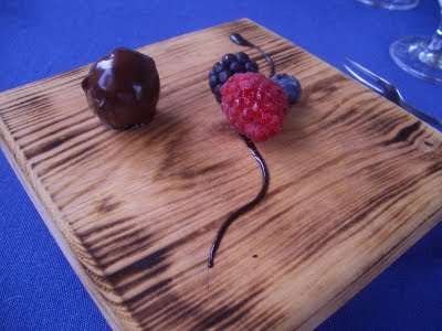 Chocolate truffle, raspberry, blackberry, and bilberry with chocolate sauce