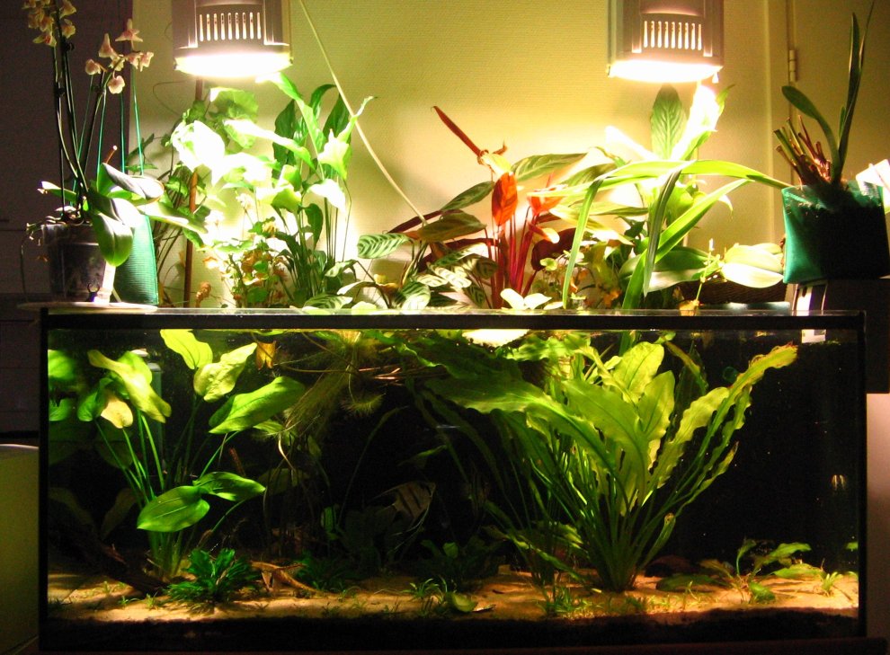 [300l+4.12.2008+2.jpg]