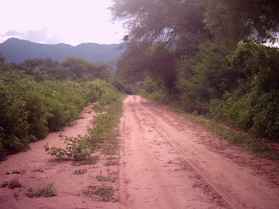 Camino bastante bueno