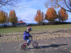 Julia Training Wheels