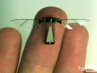 robotic fly