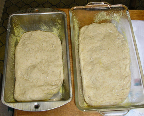 [bread_in_pans.jpg]