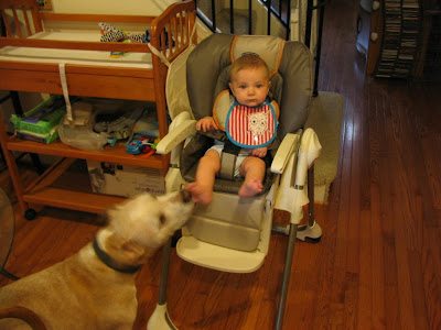 It's a win-win. Buddy gets to lick a foot, Liam gets to be tickled, and I get to postpone giving him a bath Liam and Buddy