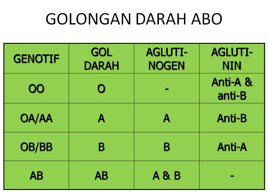 Skema Pembekuan Darah ~ BELAJAR BERSAMA PAGURUS SP