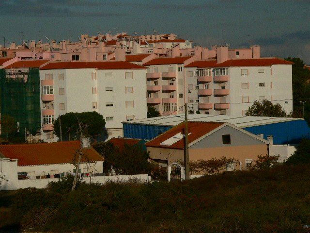 [P1110092.JPG]