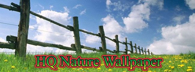 High Quality Nature Wallpaper high quality nature wallpapers. High Quality Nature Wallpaper