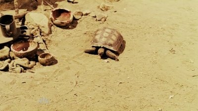 [normal_304Heroes1334.jpg]