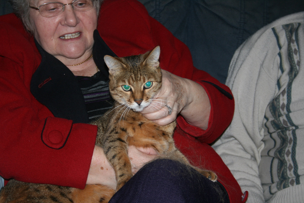 [Grandma+cat.JPG]