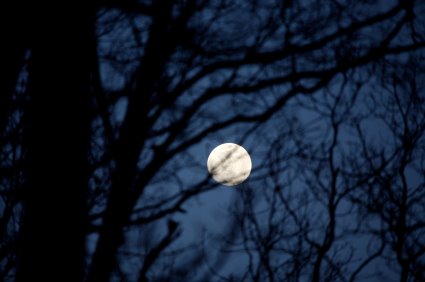 [iStock_000005174341XSmall.jpg]