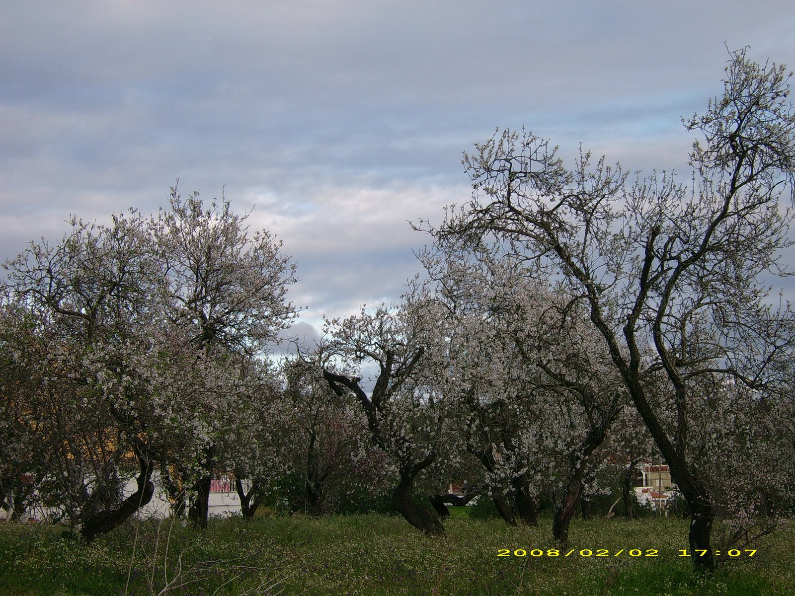 [IMG_0023.JPG]
