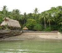 La Isla Tortuga