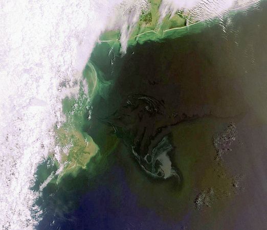 gulf-oil-spill-satellite-picture-timeline-may-2_19875_600x450.jpg