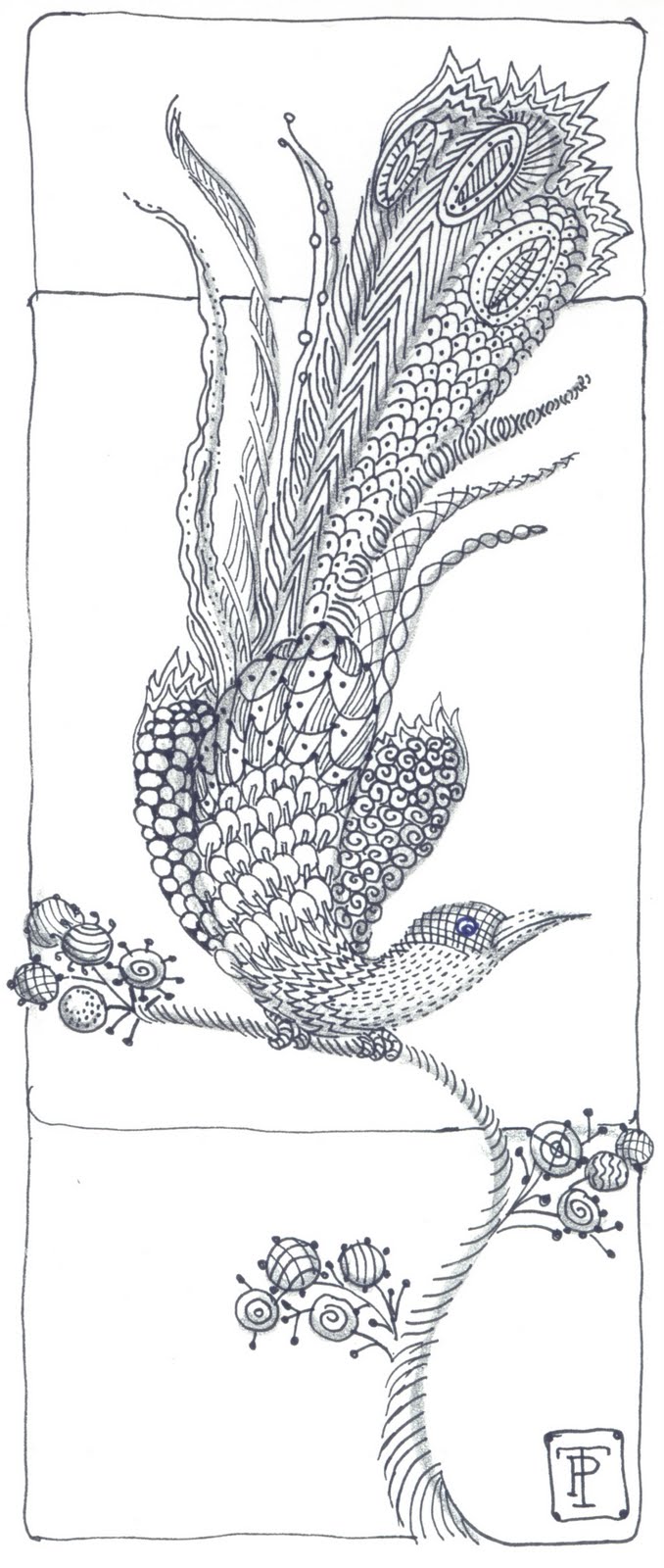 zentangle patterns free | Peggy Turchette 365 Birds: January 2011