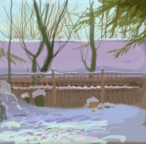 [Feb_19_backyard.jpg]