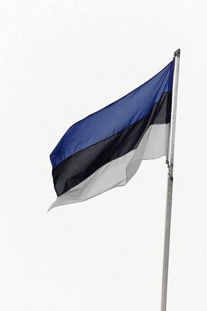 флаг сине черно белый