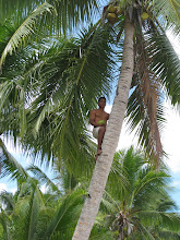 Traditional Use of Coconuts