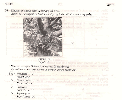 *cough* mutualism *cough*