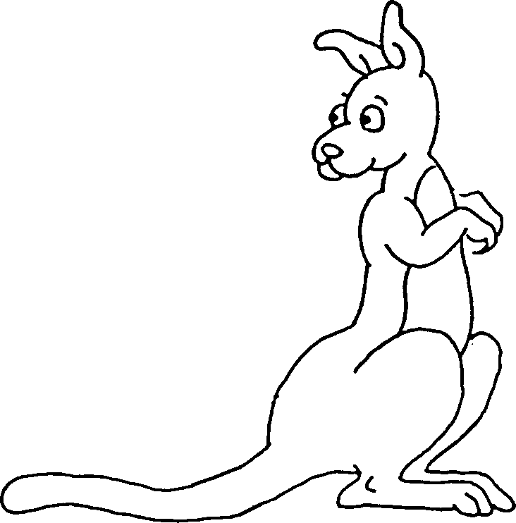 Jumping Kangaroo Cartoon