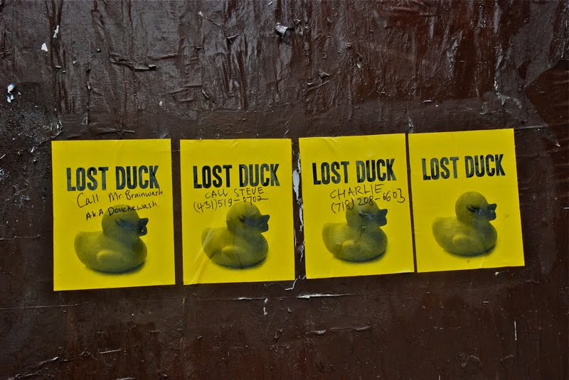 Ewing Girl Crossing Look out for the Lost Ducks in NY