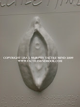 tactile mind diagram 1, by Lisa J. Murphy. Tactile picture of a large vagina.