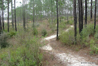 The trail wandering along some old pits.