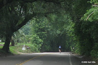 Heading north on Old Magnolia Road. Old Magnolia Road photo