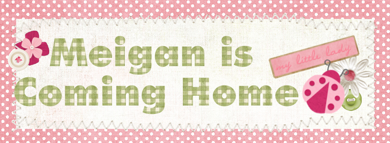 Bringing Home Meigan