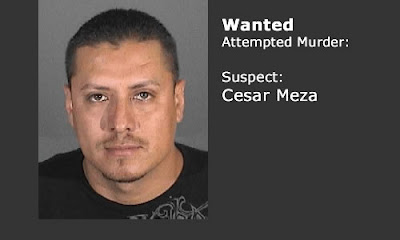 Cesar Meza