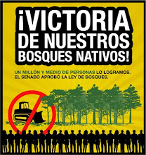 Ley de Bosques