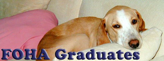 FOHA Graduates