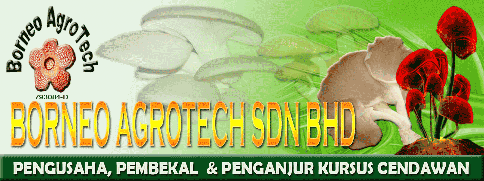 Welcome to Borneo Agrotech