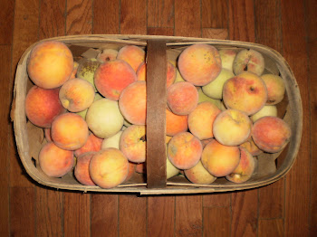 Yummy Peaches