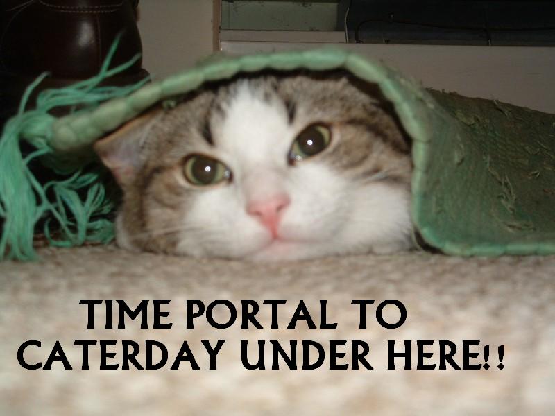 TIME PORTAL TO CATERDAY UNDER HERE!!