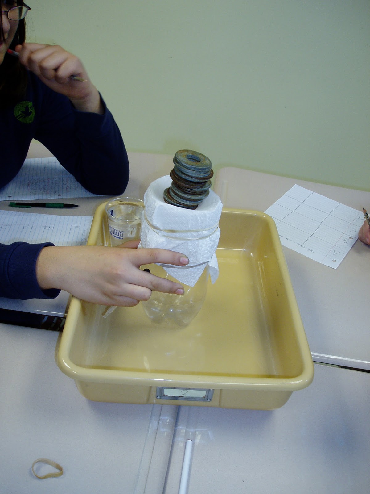 Mrs. Stolp's Classroom: Paper Towel Wet Strength Experiment Day Photos1200 x 1600