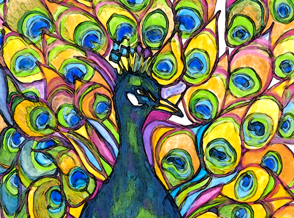 [Peacock+small.jpg]