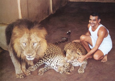 prakash amte