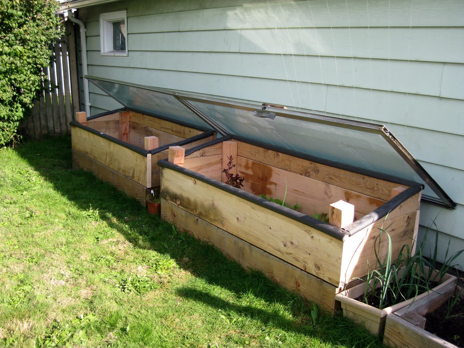 Everett Cellars Cold Frames (Winter Comes)