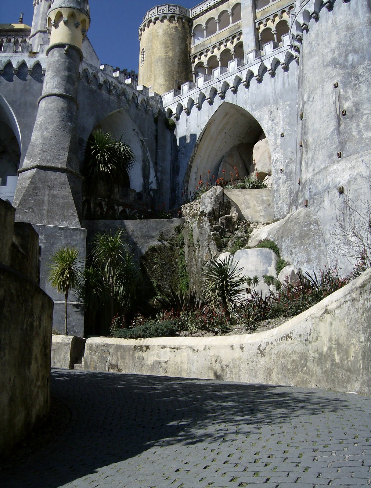 [hpim3674.jpg]