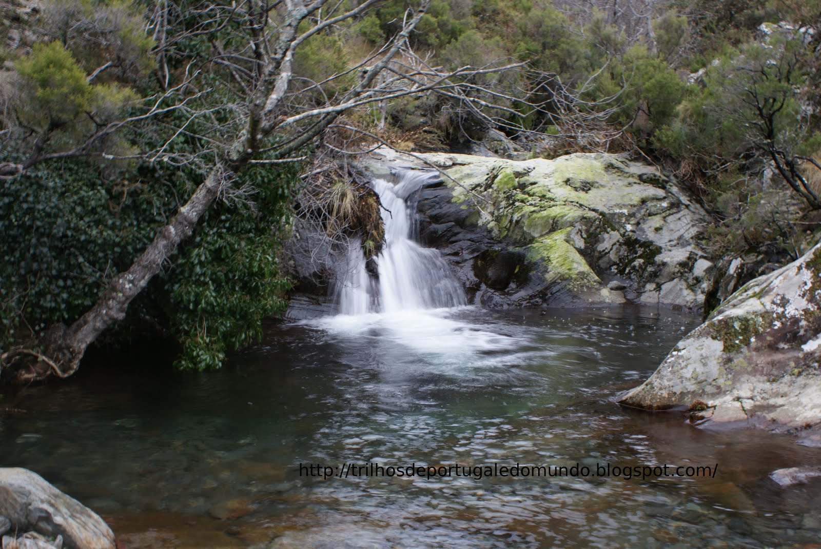 [DSC05734.JPG]