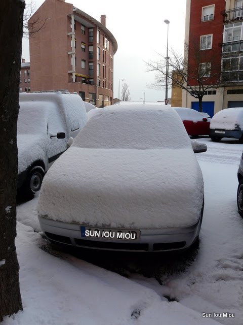 [P1070950-1.JPG]