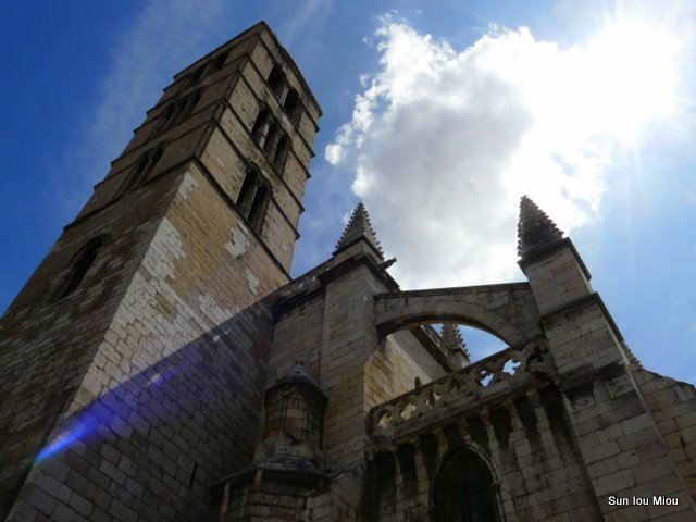 [P1050934-2.JPG]