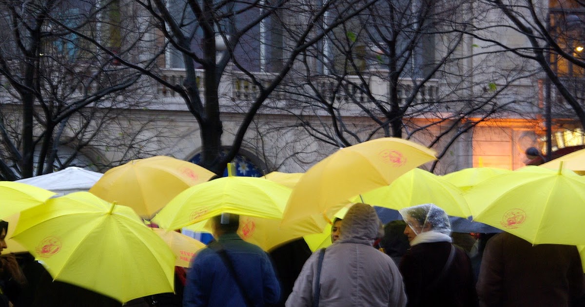 ParisDailyPhoto Yellow Umbrellas