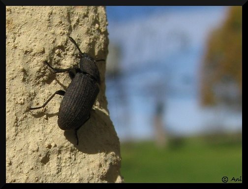 [IMG_2804.JPG]