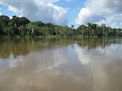 Rambles on the Amazon
